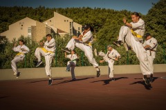 522743684_1071534411778550_1430967679212528335_n