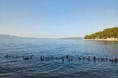 Obrazek-WhatsApp-2025-07-27-v-13.15.57_b5ee9e21